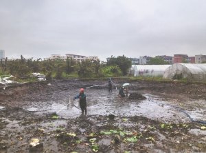 肃宁河道鱼塘清淤
